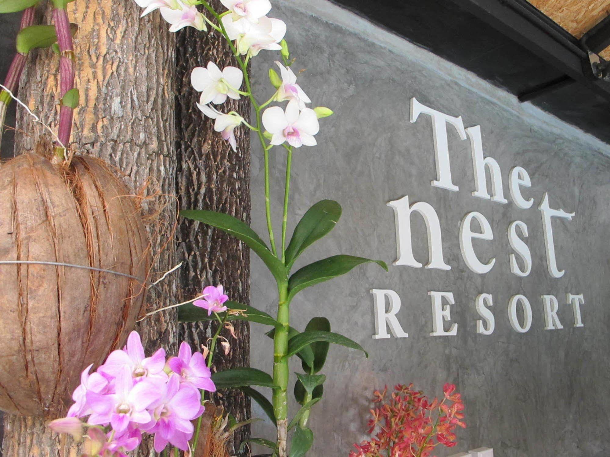 The Nest Resort Patong Exterior photo